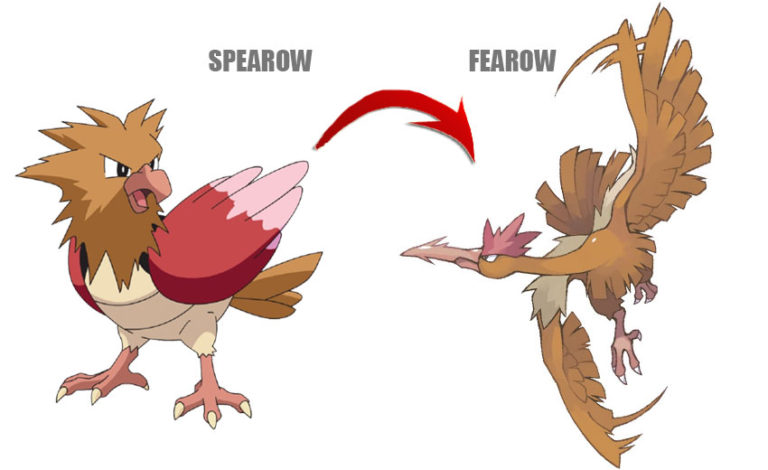 Fearow имеет куда более грозное телосложение, огромные крылья и длинный клю...