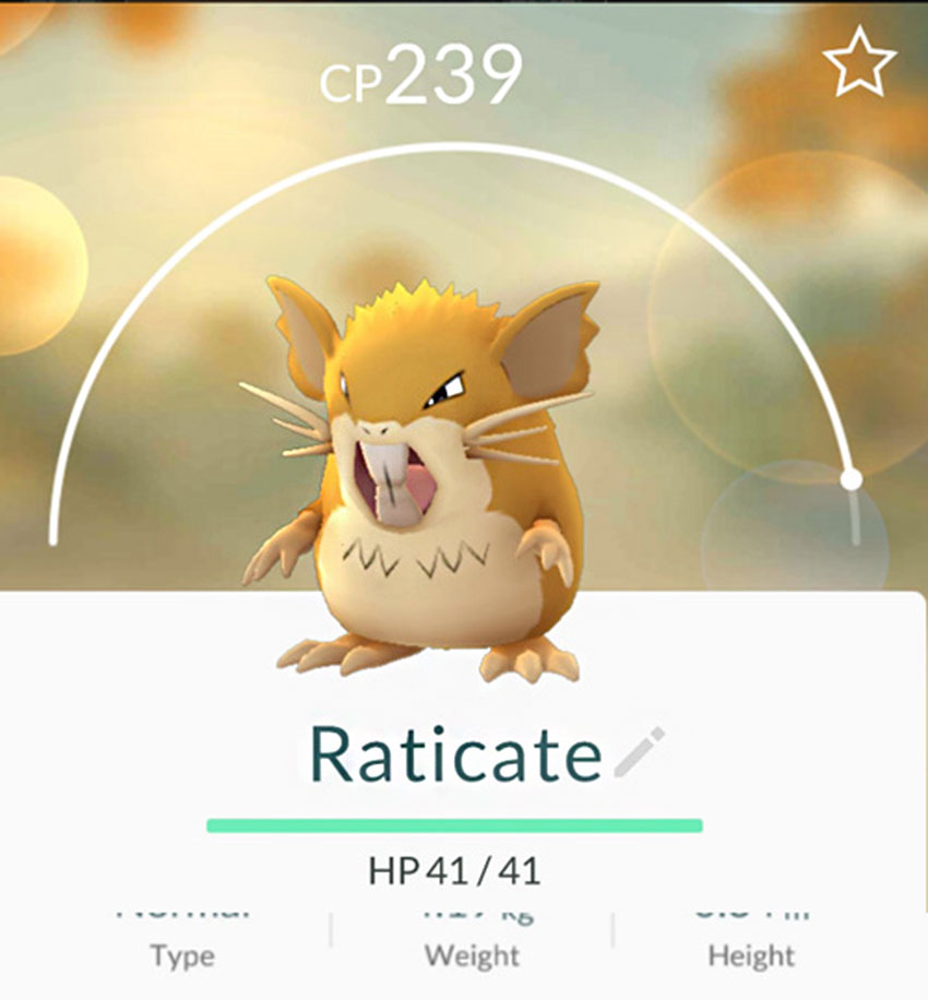 Raticate в Pokemon go