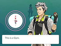 Gym в Pokemon go