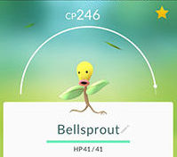 Pokemon go Bellsprout